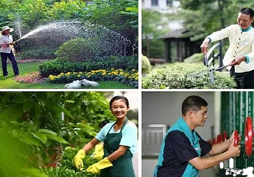 国产草莓视频在线观看物業管理
