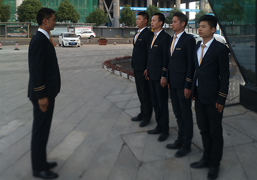草莓视频黄污成人專業教官服務